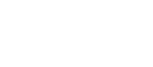 dmind logo